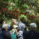 복흥면 체육공원 이미지