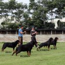 쥬쥬클럽 이미지