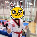 경희대 활기찬 태권도장 이미지