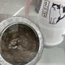 묘리깡 | 부산고양이목욕 스파 전문 묘리깡 후기 및 주차정보
