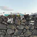 ㈜우도전기렌트카 | 제주도 우도 전기렌트카 코코나라 렌트후기 및 우도여행