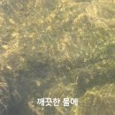 행복이 넘치는 강 펜션 이미지