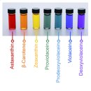 무지개화장품 이미지