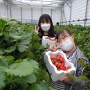 늘해랑농장 이미지