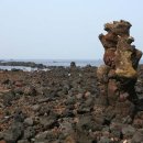 제주 비양도 호니토 이미지