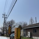 일영옛날양평해장국 | 양주 장흥 맛집 일영옛날양평해장국, N번째 방문하는 노포 해장국 맛집