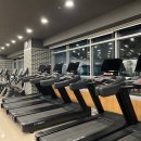 캐롤리나 휘트니스 이미지