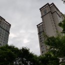 솔공인중개사사무소 이미지