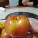 진호찜매운탕 이미지