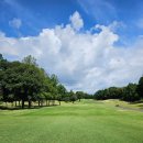 중앙컨트리클럽 | 구마모토 중앙 컨트리클럽(대회치루는 명문구장 맛보다^^)