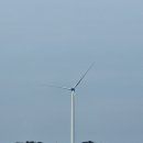 동마수산 | 천북굴단지 (서광수산)