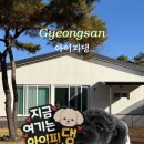 아이피댕