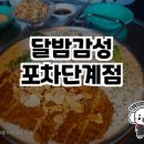 달밤감성포차단계점