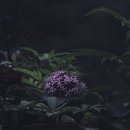 골프존파크 도안 아지트 이미지