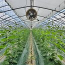 도선농장 이미지