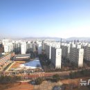 용인-구갈-구갈1 이미지