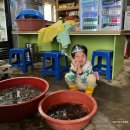 고센 펜션 이미지