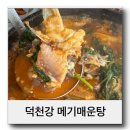 덕천강민물고기