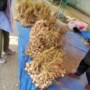 군산대야시장 이미지