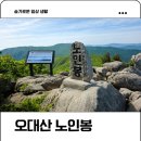 100대명산 오대산 노인봉 최단코스 진고개 휴게소 탐방 후기