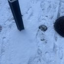 동광주종로약국 이미지