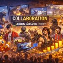 밸런스독 이미지