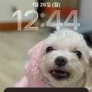 워크테크 | 만보기앱테크 머니워크후기 현금교환