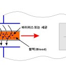 재퍼