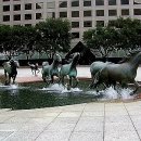 조각공인중개사사무소 이미지