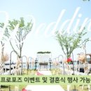 노을지는날에