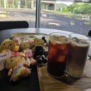 동희농원 | 6월 월간일기