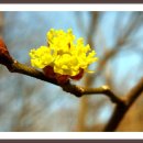 밤곶이 놀자 숲놀이터 이미지