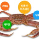 대흥호대게 네이버블로그