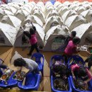 대구팔달초등학교 이미지