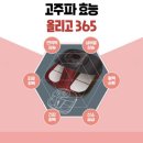 힐링아이시냅스 | 통증이 있나요? 올리고365를 사용해 보세요