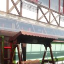 개미유치원 이미지