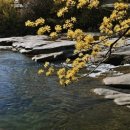 동진약국 이미지