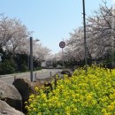 오라동주민센터 이미지