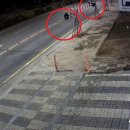 주정차37 이미지