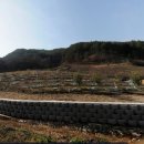 청송공인중개사사무소 이미지