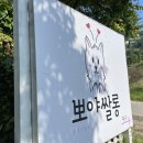 개쌀롱 이미지
