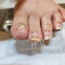 네일다움 이미지