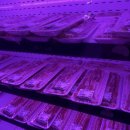 장원세차장 이미지