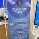 4662 | 동성로 이색카페 도심 속 동물체험과 수족관을 즐기는 아쿠아밸리 블루라운지 후기