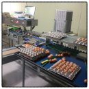 유환농장 이미지