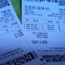 소소한보험 네이버블로그