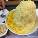 얌얌잉글리쉬 | Roys 로이즈 롯데월드몰점🥭 | 망고빙수맛집 | 생망고 목화빙수 후기
