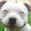 잘나가는사람들 이미지