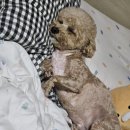 주인아 미용하고가 이미지