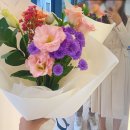 플로바이데이